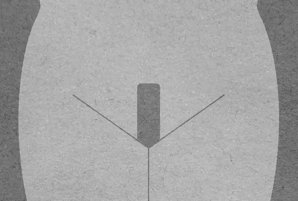 Illustration showing a stylized representation of the landing strip pubic hair style, simplified graphic representation