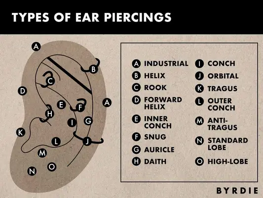 Chart of Types of Ear Piercings