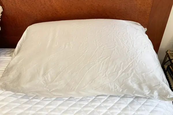 Parachute Silk Pillowcase