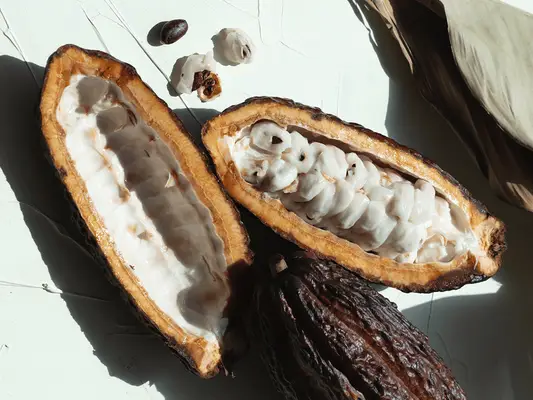 cacao nibs and pods on a white background.