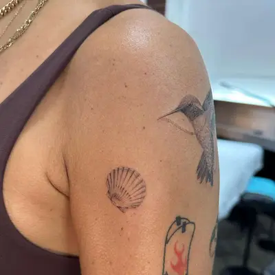 black ink shaded seashell tattoo next to hummingbird tattoo on arm