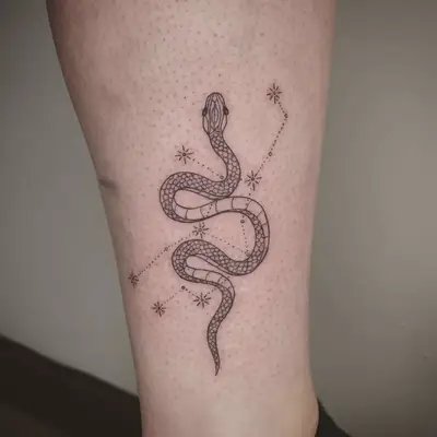 Virgo Snake