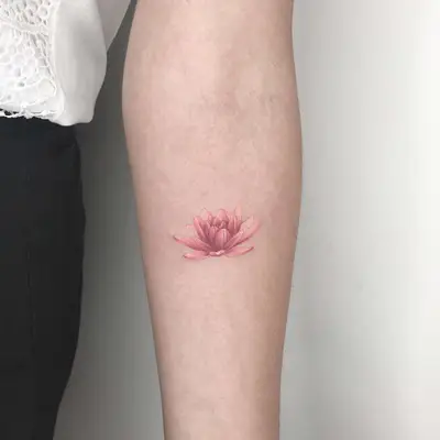 Image of a delicate pink lotus tattoo on the forearm