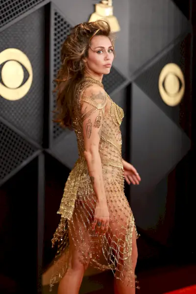 Ankomster af 66. grammy-priser