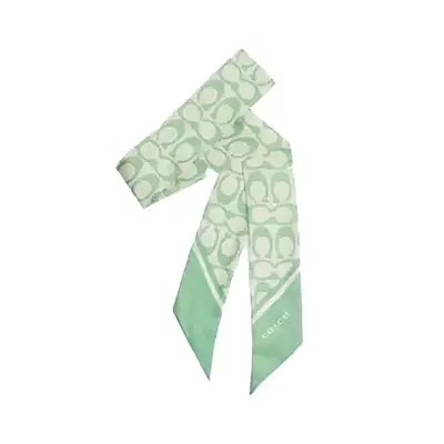 Coach Vintage Signature Print Silk Skinny Scarf in pale pistachio