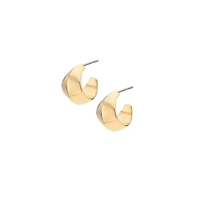 chunky gold hoops