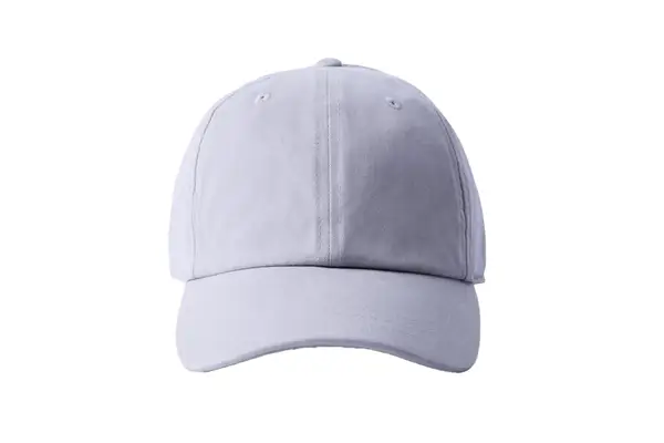 Aritzia Tna Dad Baseball Cap