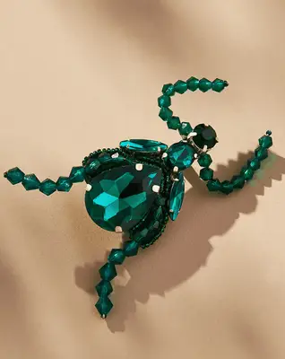 A beetle brooch.