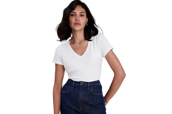 Banana Republic Factory Timeless V-Neck T-Shirt