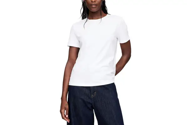 Gap Organic Cotton VintageSoft T-Shirt