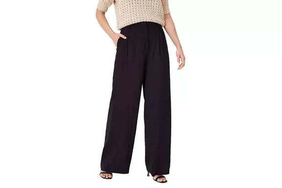 Ann Taylor Pleated Wide Leg Pant