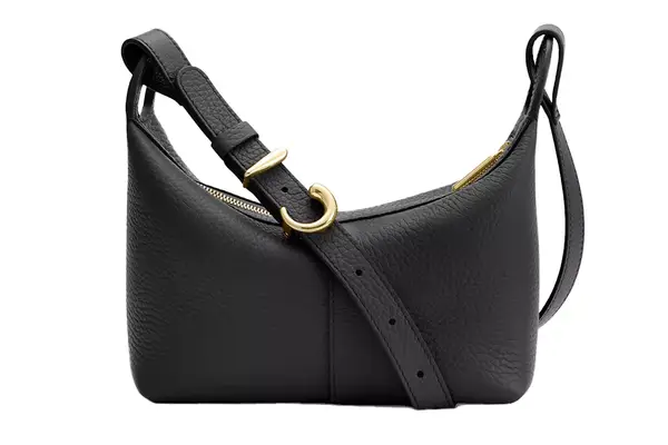 Cuyana Mini Paloma Bag