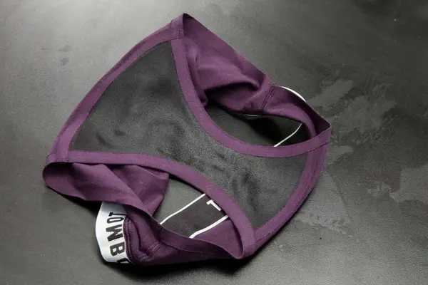 Modibodi Sensual Hi-Waist Bikini