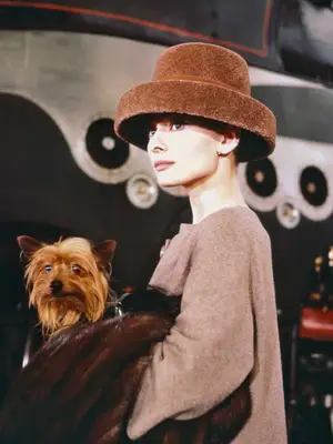 Madewell Asymmetric Button-Up Shirt in white with stripes