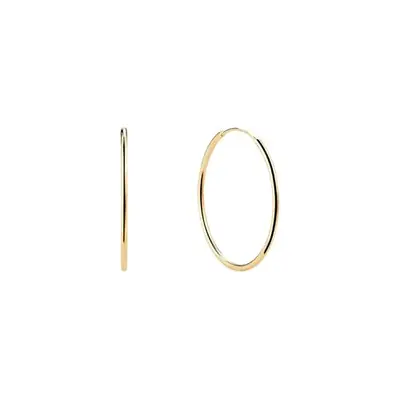 large gold hoop earrings