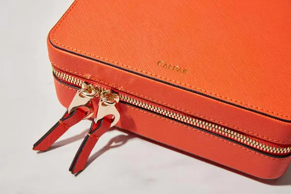 The Calpak Jewelry Case zipped closed