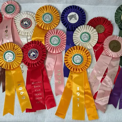 vintage horse show ribbons
