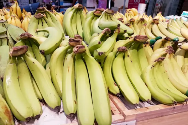 čerstvé zelené banány