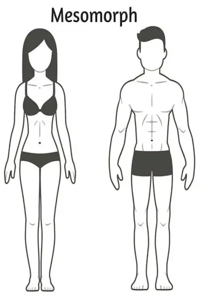 tres tipos de cuerpo explicados