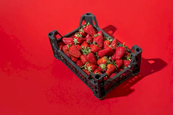 Volume Eating: Pros, Cons, And Foods To Try, According To Experts