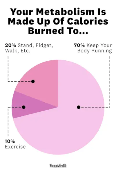 Ok, qual é o seu metabolismo – e você pode realmente torná-lo mais rápido?