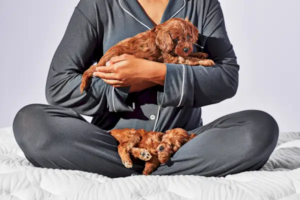 Hvor mange kalorier forbrænder du når du sover? Læger forklarer