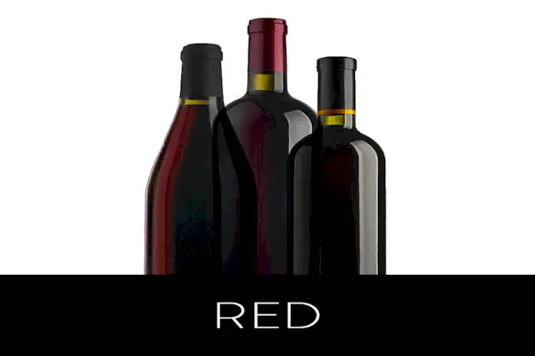 Halle Berry przysięga na dietę ketonową — oto, co je w typowy dzień