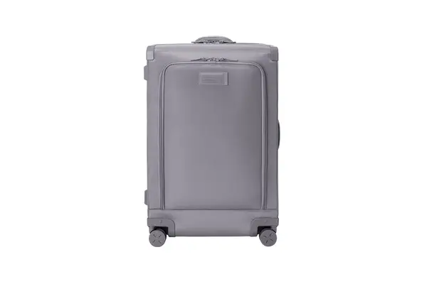 Dagne Dover Sydney Checked Rolling Luggage 28.5 Inches