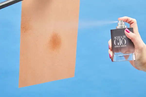 Chanel Blue de Chanel Parfum