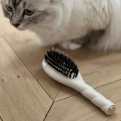 La Bonne Brosse N.02 Hair Brush