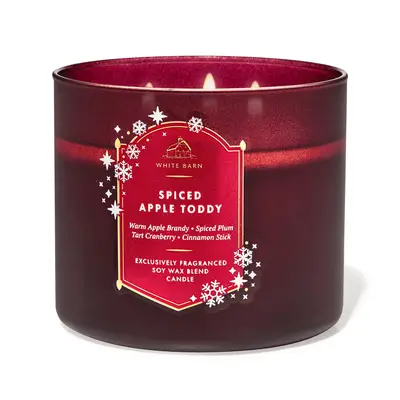Bath & Body Works Spiced Apple Toddy